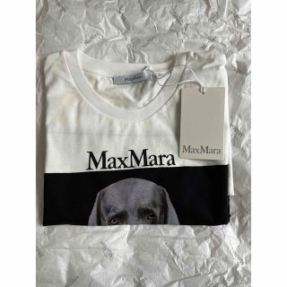 Max Mara - マックスマーラ 表参道店&オンライン限定版Tシャツの通販