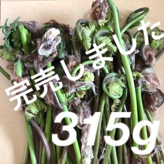 天然ゼンマイ　315g　茨城県産　ぜんまい　山菜　本日発送(野菜)