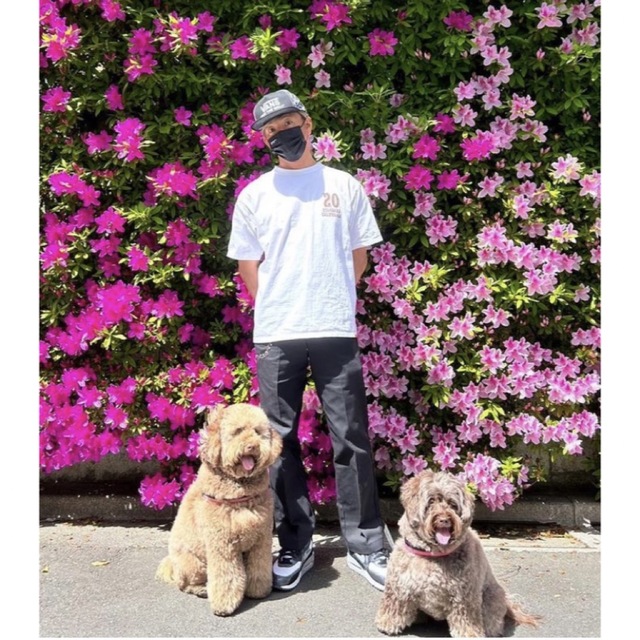 STANDARD CALIFORNIA - キムタク着STANDARD CALIFORNIA×HTC×Dickies黒