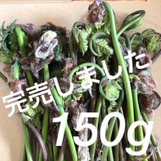 天然ゼンマイ　150g　茨城県産　ぜんまい　山菜　本日発送 自家採取(野菜)