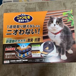 ニャンとも清潔トイレ(猫)