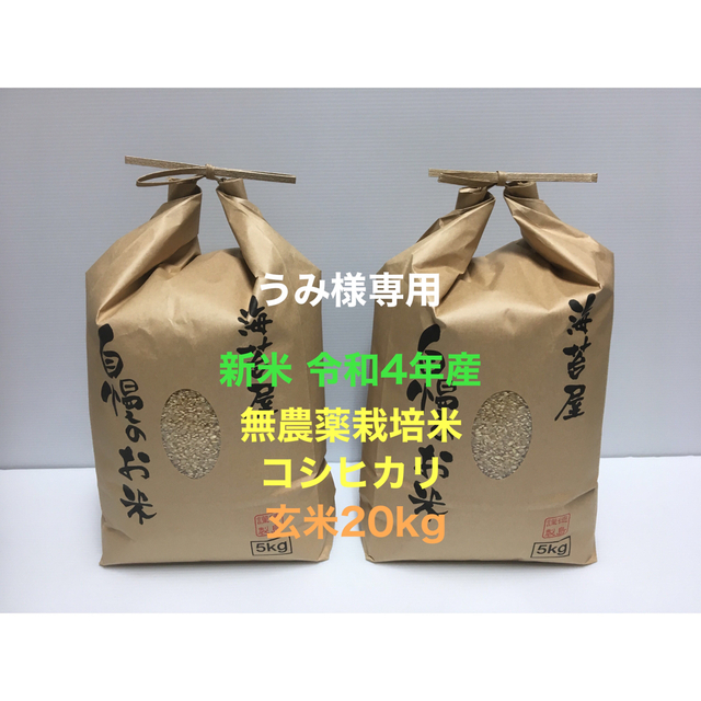 うみ様専用 無農薬コシヒカリ玄米20kg(5kg×4)令和4年 徳島県産の+