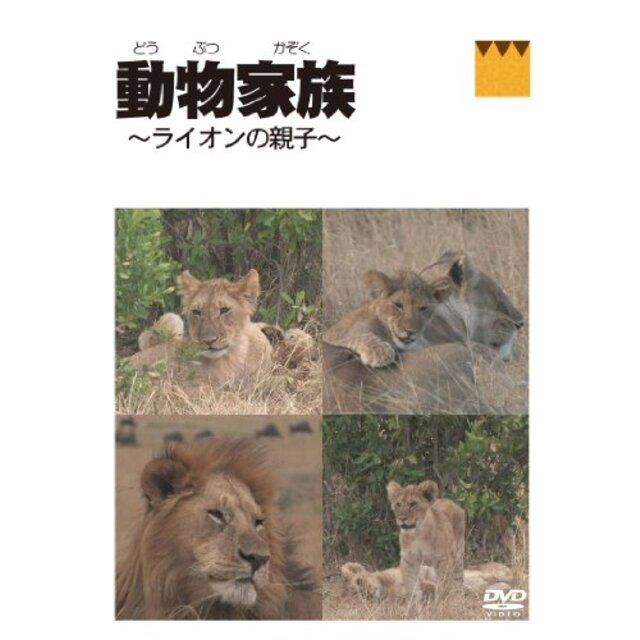動物家族~アフリカ編~ライオン [DVD] wgteh8f