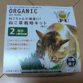 ねこ草栽培キット　一回分(猫)