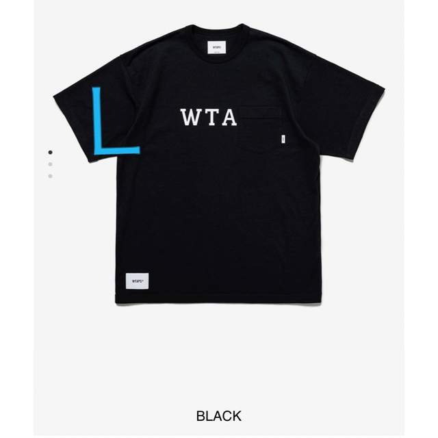 WTAPS DESIGN 01 / SS / CTPL. COLLEGETシャツ/カットソー(半袖/袖なし)