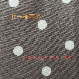 せー様専用(外出用品)