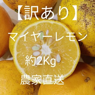 【訳あり】国産マイヤーレモン　約2kg(フルーツ)