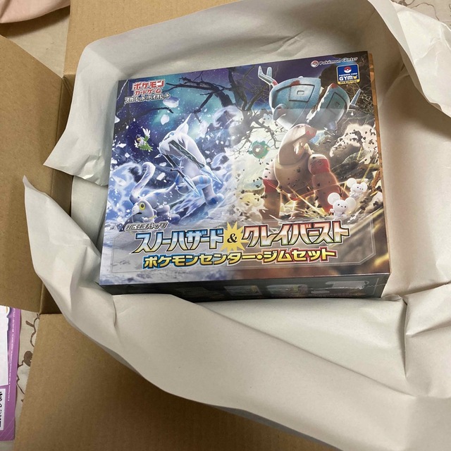 ポケセン産 ジムセット ナンジャモセットスノーハザード クレイ