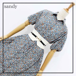 サンディー(SANDY)の«sandy» 大きいサイズ ビッグシルエット ワンピース 花柄 大人 SM2(ロングワンピース/マキシワンピース)