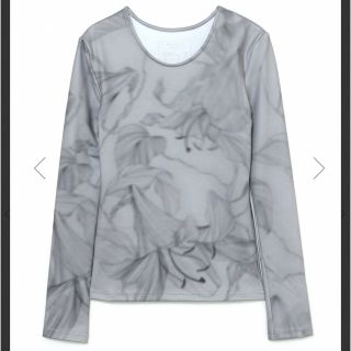 ザラ(ZARA)のmelt the lady blur lily tops(カットソー(長袖/七分))