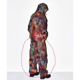 シュプリーム(Supreme)のSupreme GORE-TEX PACKLITE®️ Cargo Pant(ワークパンツ/カーゴパンツ)