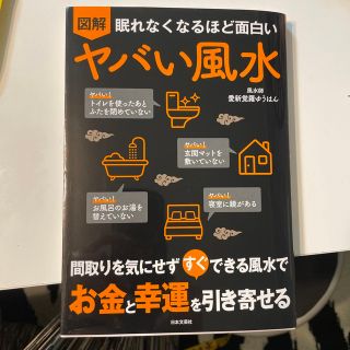 眠れなくなるほど面白い図解ヤバい風水 間取りを気にせず　すぐ　できる風水で　お金(人文/社会)