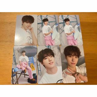 セブンティーン(SEVENTEEN)のSEVENTEEN CARATLAND トレカ ディノセット(アイドルグッズ)
