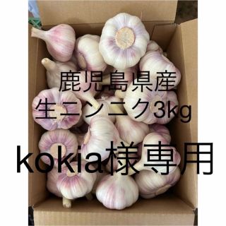 生ニンニク3kg  鹿児島県産(野菜)