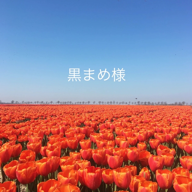 黒まめ様専用ページ 【 大感謝セール】 www.toyotec.com
