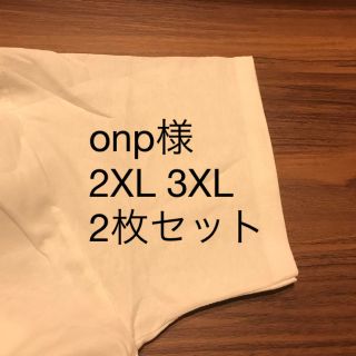 チャンピオン(Champion)のonp様専用 2xl 3xl チャンピオン 無地Tシャツ  2枚セット(Tシャツ/カットソー(半袖/袖なし))