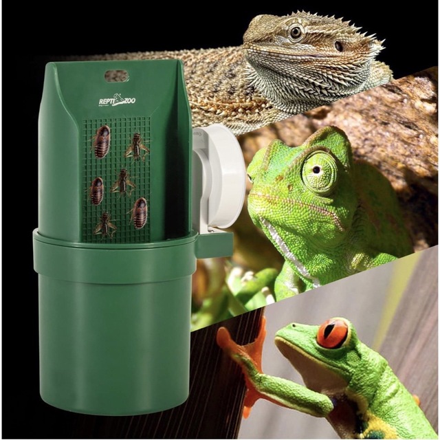 REPTI ZOO カメレオン用 摂食皿 食器 吸盤付き 爬虫類 フードトレイ