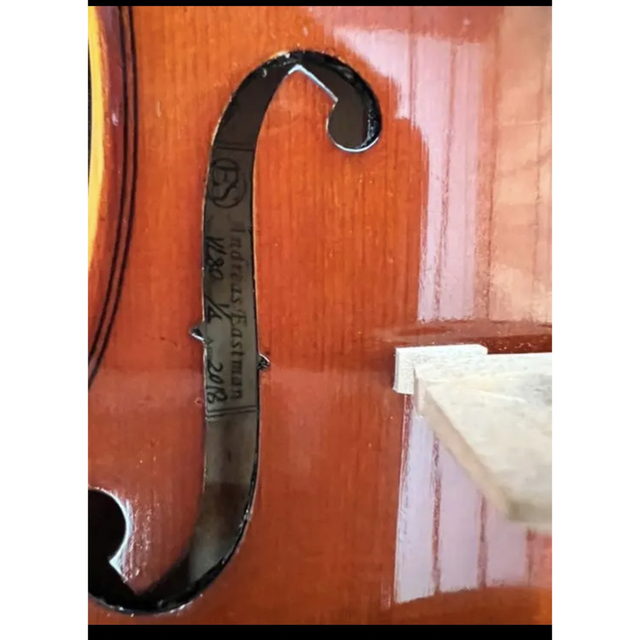 先行予約販売 【定価79,200】Eastman イーストマン 分数バイオリン 1/4