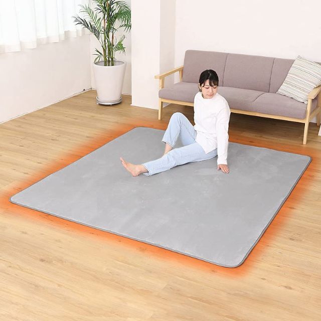 日本未入荷 アストロ ライトグレー ラグ ラグ 185×290cm ライトグレー