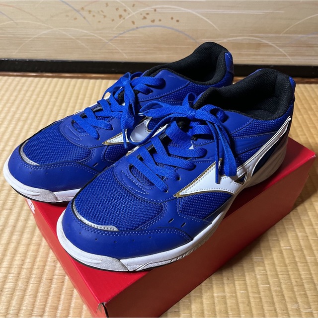 MIZUNO ミズノ　安全靴　28cm 未使用タグ付き