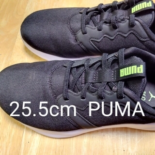 プーマ(PUMA)のpuma スニーカー 25.5センチ(スニーカー)