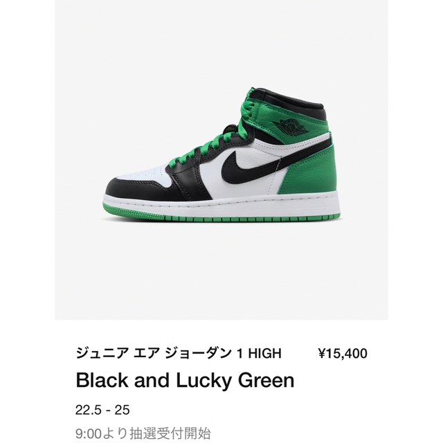 Jordan Brand（NIKE）(ジョーダン)のナイキ エア ジョーダン 1 レトロ HIGH OG ”ラッキー グリーン” メンズの靴/シューズ(スニーカー)の商品写真