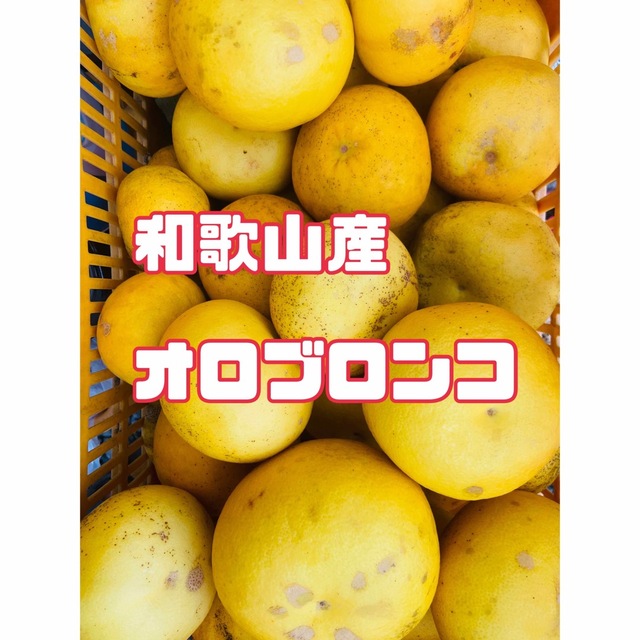 ⭐︎和歌山産⭐︎オロブロンコ(スウィーティー同品種) 柑橘　みかん 食品/飲料/酒の食品(フルーツ)の商品写真