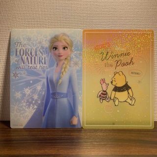 アナトユキノジョオウ(アナと雪の女王)のディズニー アナと雪の女王 プーさん 下敷き B5(キャラクターグッズ)