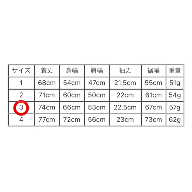 PUNYUS(プニュズ)のPUNYUS プニュズ ドット柄シースルーシャツ レディースのトップス(シャツ/ブラウス(半袖/袖なし))の商品写真