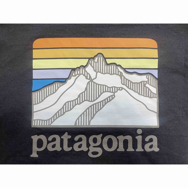 patagonia(パタゴニア)のパタゴニア　ロンt  ロングスリーブラインロゴリッジレスポンシビリティー メンズのトップス(Tシャツ/カットソー(七分/長袖))の商品写真