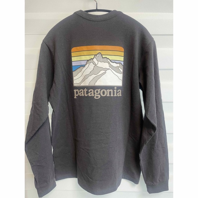 patagonia(パタゴニア)のパタゴニア　ロンt  ロングスリーブラインロゴリッジレスポンシビリティー メンズのトップス(Tシャツ/カットソー(七分/長袖))の商品写真