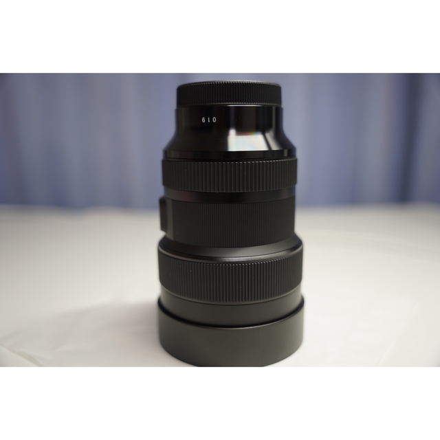 SIGMA 14-24mm F2.8 DG DN | Art A019 5