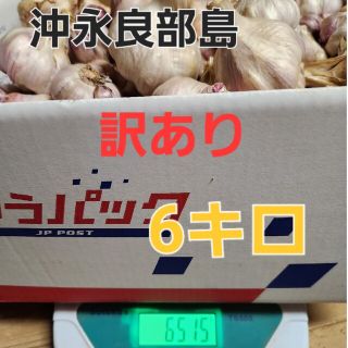 【訳あり商品】沖永良部島にんにく　島にんにく(野菜)