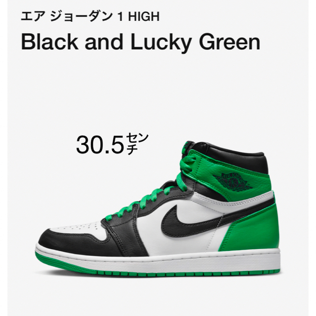 エアジョーダン1 30.5 レトロJordan 1 Retro High OG