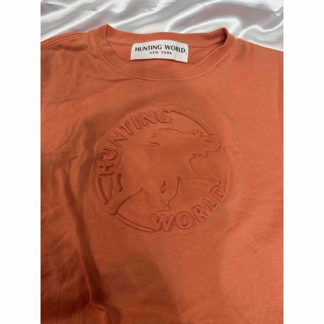 HUNTING WORLD(ハンティングワールド)のハンティングワールド　Ｔシャツ美品（1202） レディースのトップス(Tシャツ(半袖/袖なし))の商品写真