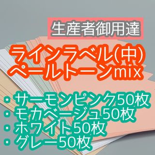 ラインラベル 中 4色 200枚 園芸ラベル カラーラベル 多肉植物 エケベリア(その他)