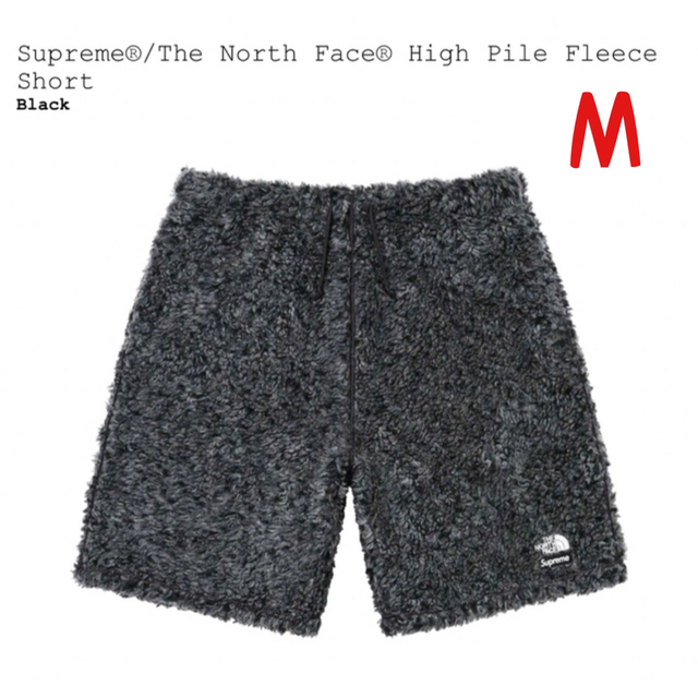 Supreme The North Face Pile Fleece Short