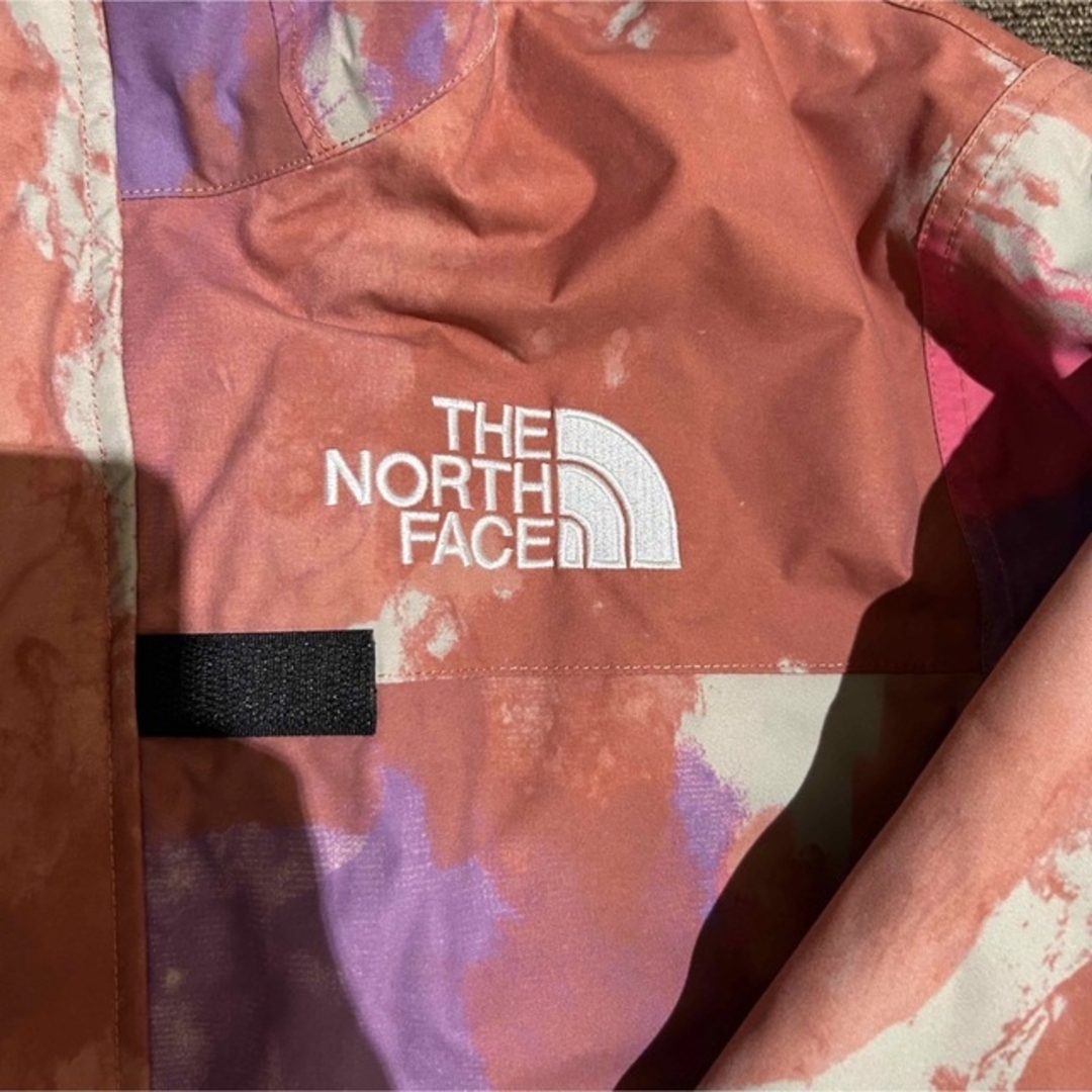 Supreme The North Face Cargo Jacket 3