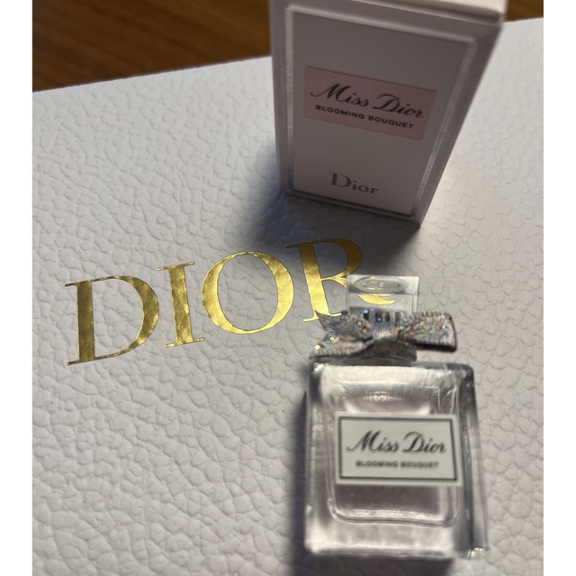 Christian Dior  非売品ポーチ　オマケでサンプル香水つき