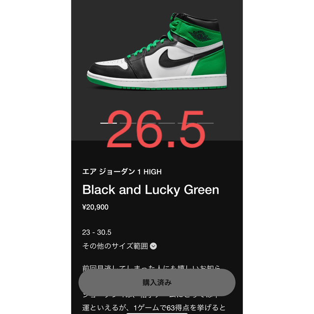 NIKE AIR JORDAN1 Pine Green 26.5