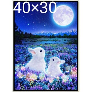 ダイヤモンドアート40×30うさぎと月ウサギ