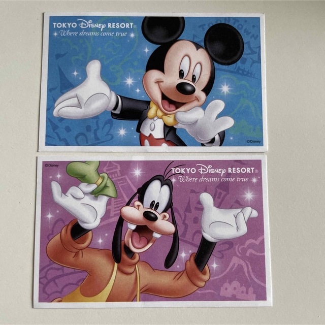 Disney(ディズニー)のディズニー　チケット　使用済み チケットの施設利用券(遊園地/テーマパーク)の商品写真