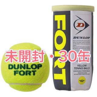 ダンロップ(DUNLOP)のFORT(フォート) 硬式テニスボール ダンロップ　30缶60球(ボール)