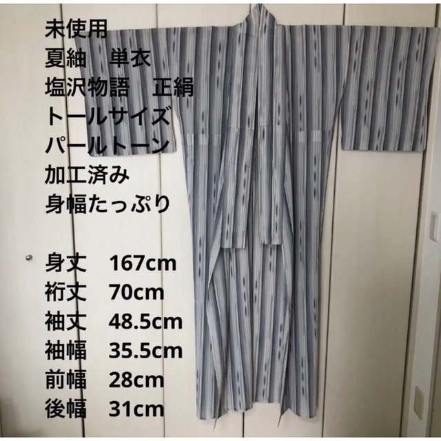 水着/浴衣【未使用トールサイズ】夏塩沢　単衣　裄丈70 身丈167 tl