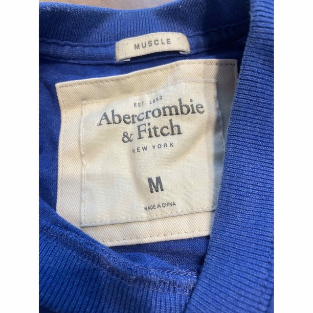 Abercrombie&Fitch(アバクロンビーアンドフィッチ)のkenworth様専用⭐︎アバクロTシャツ２点セット メンズのトップス(Tシャツ/カットソー(半袖/袖なし))の商品写真