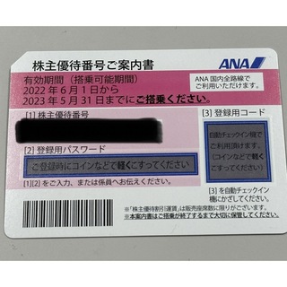 ANA 株主優待券　2023年5月31日まで(その他)
