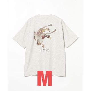 ビームス(BEAMS)のL.L.Bean×BEAMS Bean's GreenLabel Print-T(Tシャツ/カットソー(半袖/袖なし))