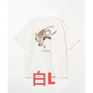 ビームス(BEAMS)のL.L.Bean×BEAMS Bean's GreenLabel Print-T(Tシャツ/カットソー(半袖/袖なし))