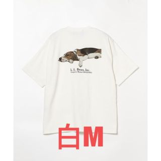 ビームス(BEAMS)のL.L.Bean×BEAMS Bean's GreenLabel Print-T(Tシャツ/カットソー(半袖/袖なし))