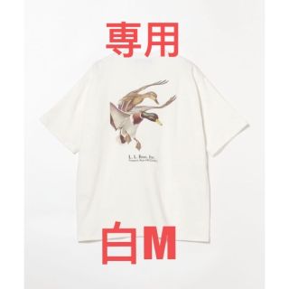 ビームス(BEAMS)のL.L.Bean×BEAMS Bean's GreenLabel Print-T(Tシャツ/カットソー(半袖/袖なし))